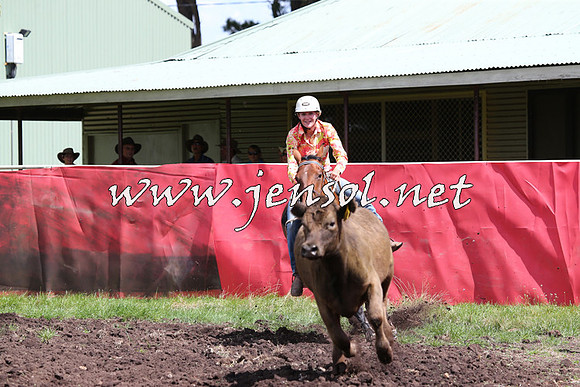 NimmitabelCampdraft2015_0210