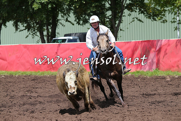 NimmitabelCampdraft2015_0114
