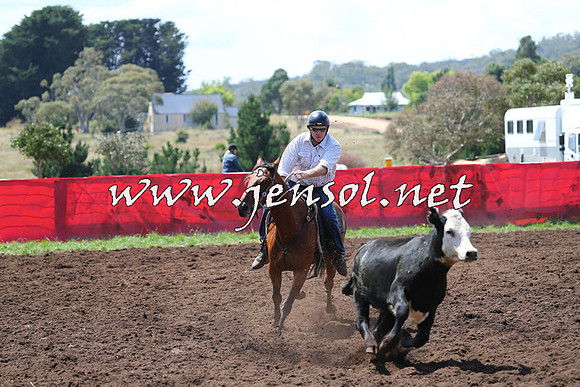 NimmitabelCampdraft2015_0084