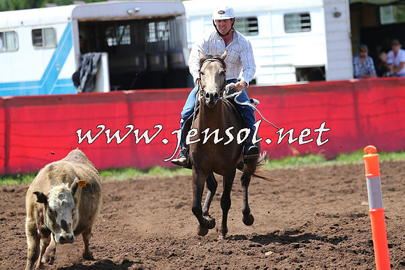 NimmitabelCampdraft2015_0109
