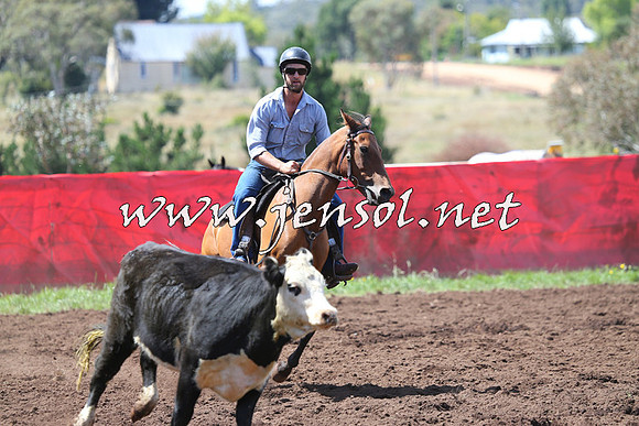 NimmitabelCampdraft2015_0170