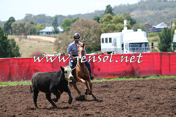 NimmitabelCampdraft2015_0053