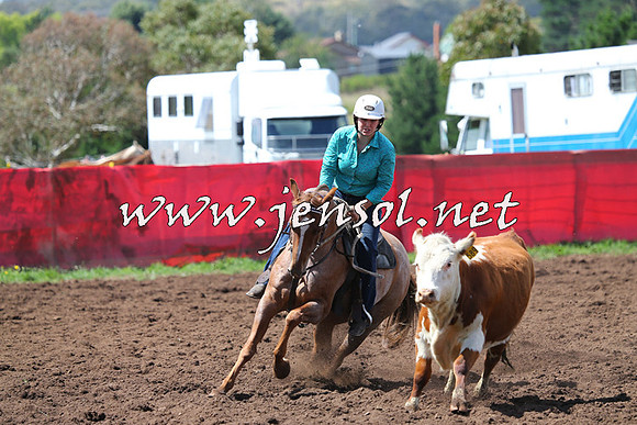 NimmitabelCampdraft2015_0218