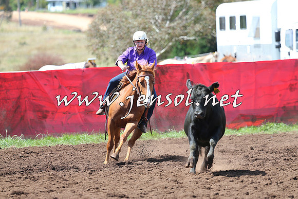 NimmitabelCampdraft2015_0201