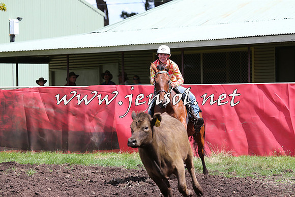 NimmitabelCampdraft2015_0208
