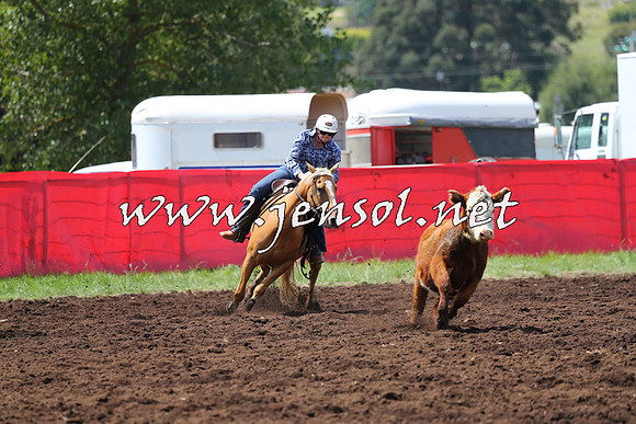 NimmitabelCampdraft2015_0069