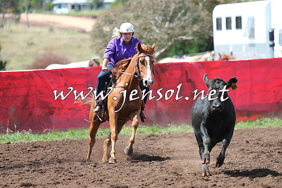 NimmitabelCampdraft2015_0200
