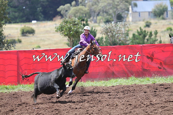 NimmitabelCampdraft2015_0146