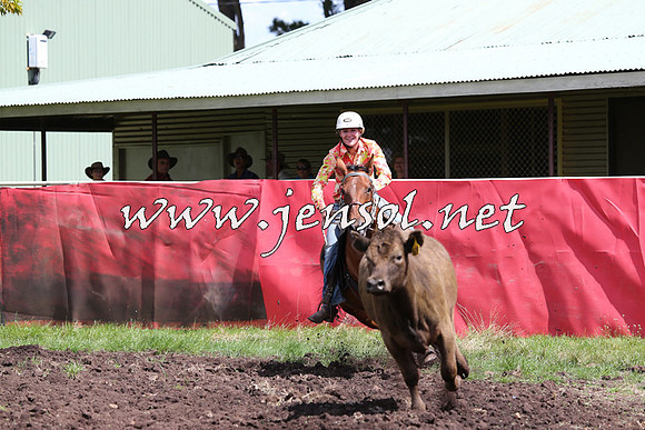 NimmitabelCampdraft2015_0212
