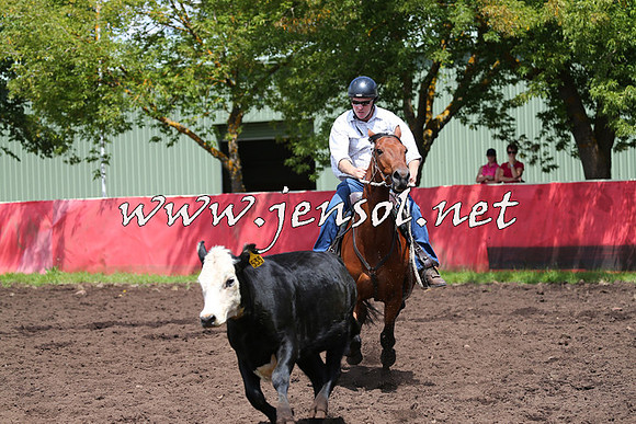 NimmitabelCampdraft2015_0095