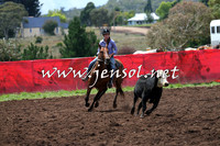 NimmitabelCampdraft2015_0028
