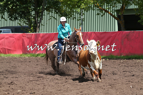 NimmitabelCampdraft2015_0222