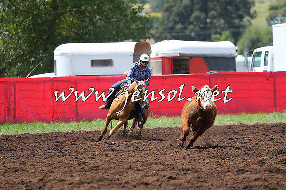 NimmitabelCampdraft2015_0068