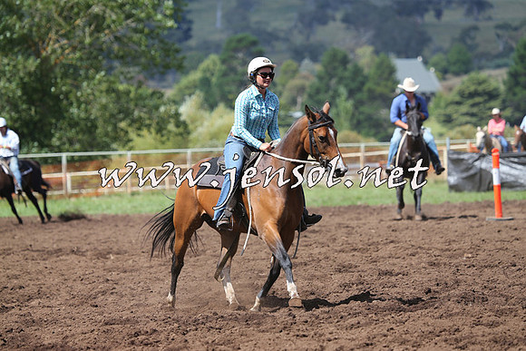 NimmitabelCampdraft2015_0266