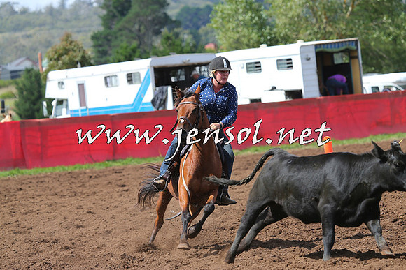 NimmitabelCampdraft2015_0272