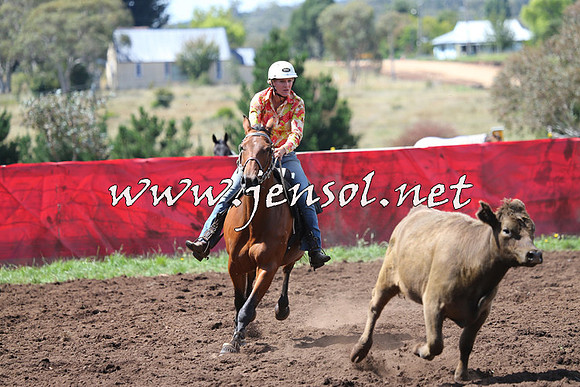 NimmitabelCampdraft2015_0206