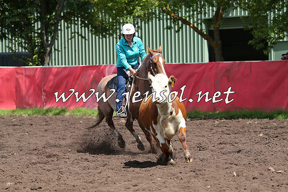 NimmitabelCampdraft2015_0220