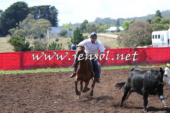 NimmitabelCampdraft2015_0083