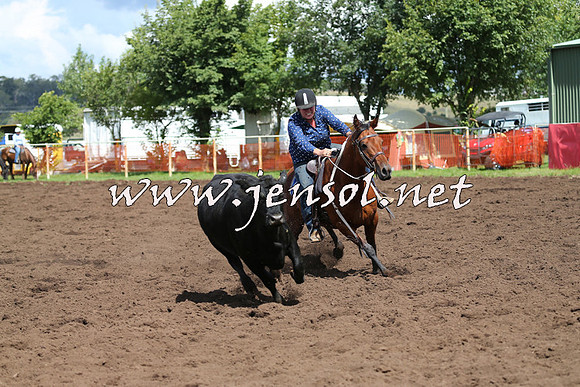 NimmitabelCampdraft2015_0281