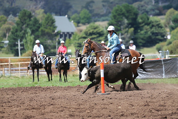 NimmitabelCampdraft2015_0262