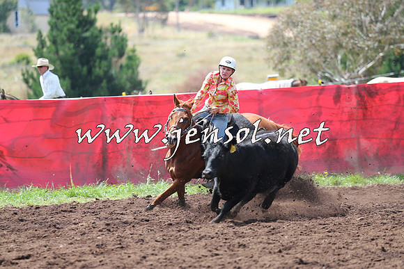 NimmitabelCampdraft2015_0060