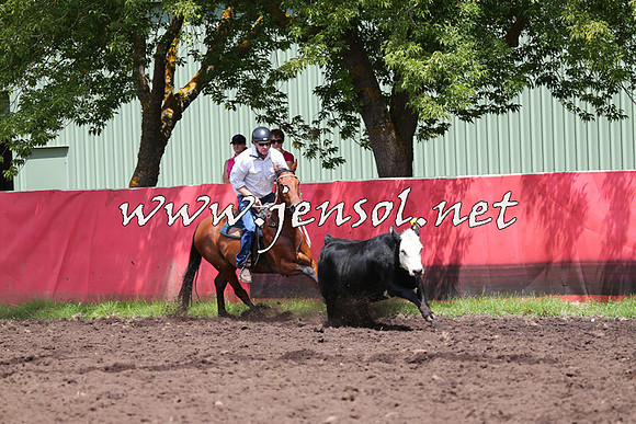 NimmitabelCampdraft2015_0089