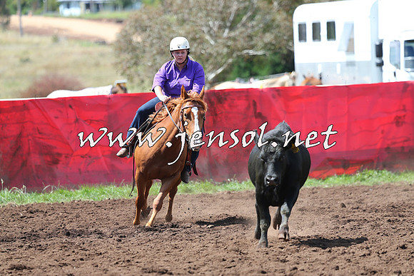 NimmitabelCampdraft2015_0203