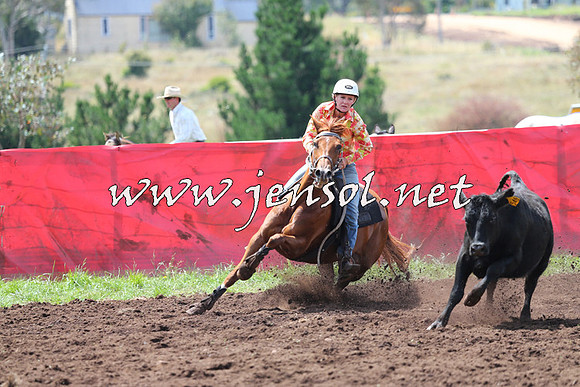 NimmitabelCampdraft2015_0057