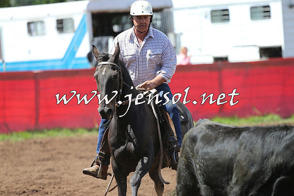 NimmitabelCampdraft2015_0164
