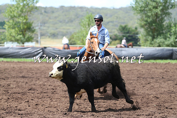 NimmitabelCampdraft2015_0055