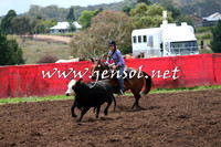 NimmitabelCampdraft2015_0021