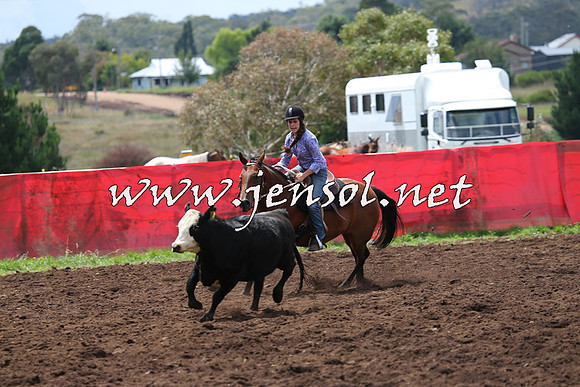 NimmitabelCampdraft2015_0021