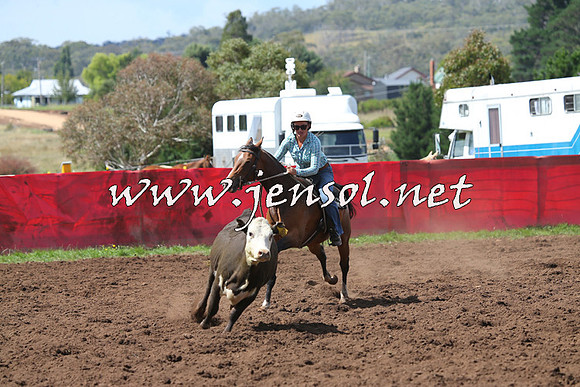 NimmitabelCampdraft2015_0247