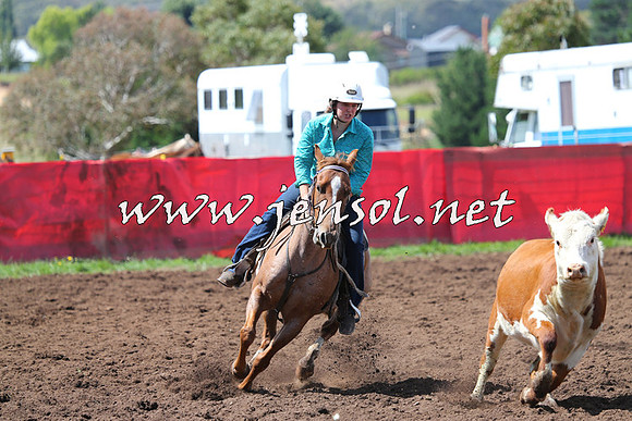 NimmitabelCampdraft2015_0216