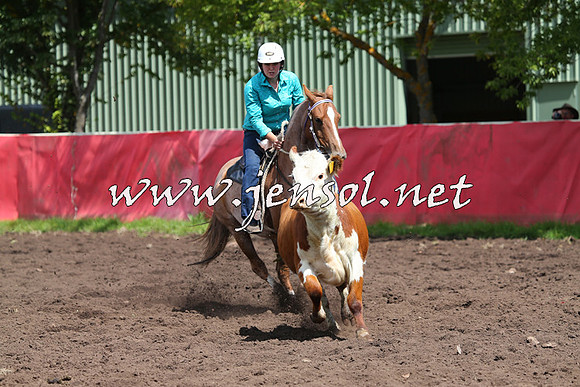 NimmitabelCampdraft2015_0225