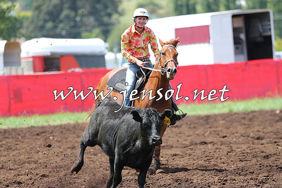 NimmitabelCampdraft2015_0063
