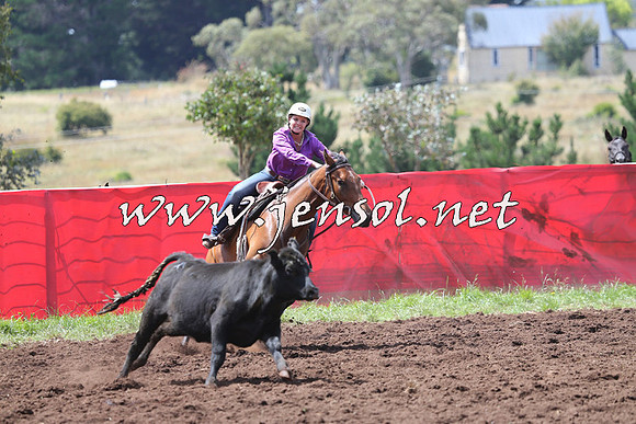 NimmitabelCampdraft2015_0147
