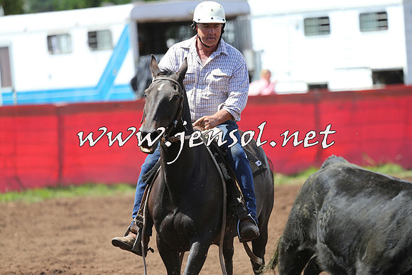 NimmitabelCampdraft2015_0163