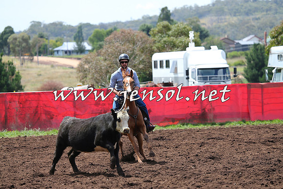 NimmitabelCampdraft2015_0054