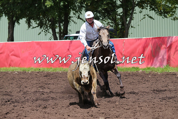 NimmitabelCampdraft2015_0117
