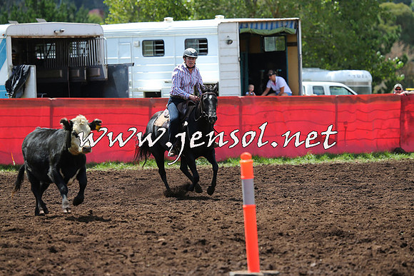 NimmitabelCampdraft2015_0015