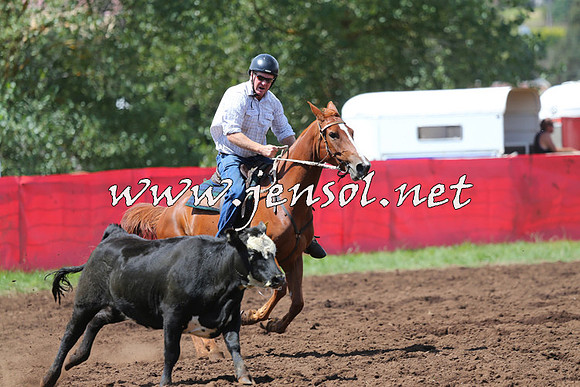 NimmitabelCampdraft2015_0173