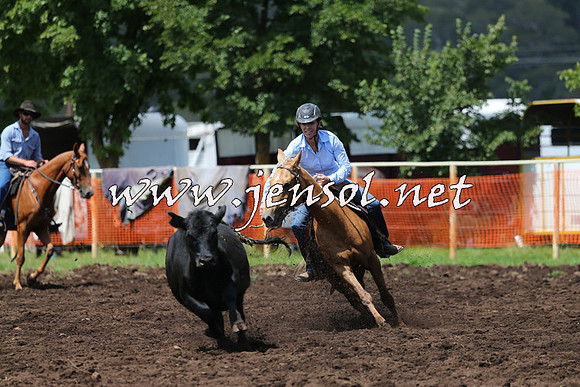NimmitabelCampdraft2015_0019
