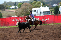 NimmitabelCampdraft2015_0023