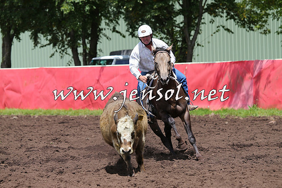 NimmitabelCampdraft2015_0118