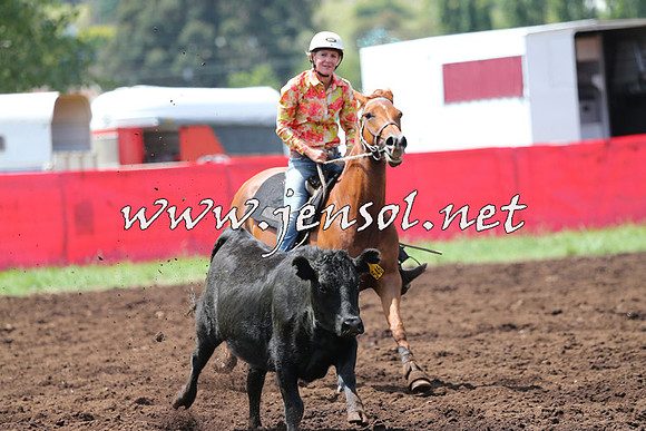 NimmitabelCampdraft2015_0064