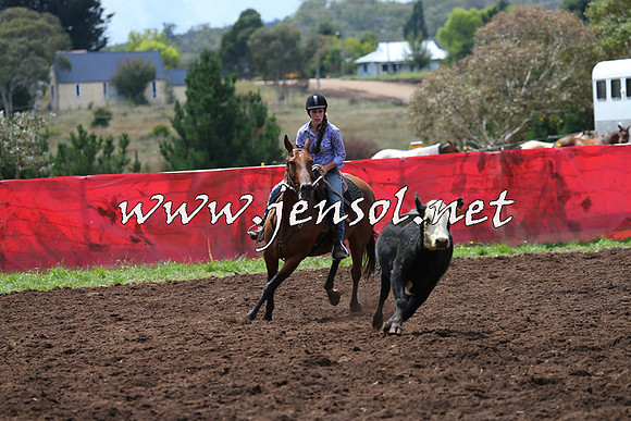 NimmitabelCampdraft2015_0029