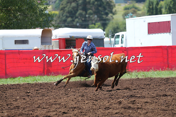 NimmitabelCampdraft2015_0075