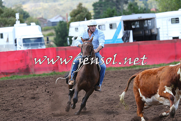 NimmitabelCampdraft2015_0149