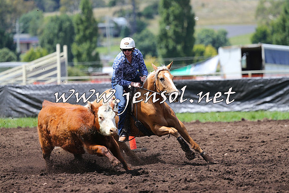 NimmitabelCampdraft2015_0076